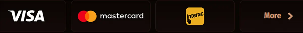 Payment methods row showing Visa, Mastercard, Interac, and a “More” button on a dark background.